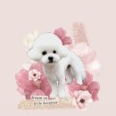 꽃피우개 이미지