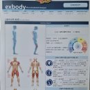 엑스바디 | 970인바디와 엑스바디(X-body) 체험 후기 💪