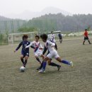 보성다목적트레이닝장 이미지