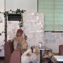 새미다방 이미지