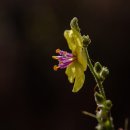 우리아이검도스쿨 이미지