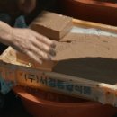 정자나무민박 이미지