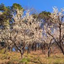 구룡체육관로 이미지