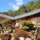 삼수온천길 이미지