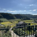 스테이온빈 이미지