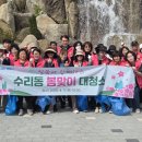 군포철쭉 이미지