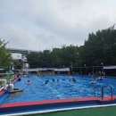 삼풍 | 수원 삼풍수영장 방갈로 이용후기