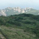 28산우회 6월 계곡산행 (경북김천 수도산 . 1316 m) 이미지