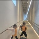 오케이카서비스 | 삼척 케이블카 후기 | 여수·단양과 비교, 아이들이 좋아한 포토존·카페·숨은 감동 포인트