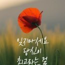 대평약국 네이버블로그