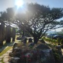 오라힐스 이미지