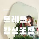 늘푸른소나무약국 | 영등포 꽃집 트레플｜크리스마스 스와그 원데이클래스 후기