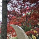휴애리 축사 네이버블로그