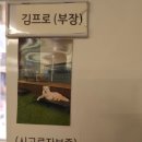 앞마당 | 대형견들의 천국 프로네 앞마당 내돈내산 후기