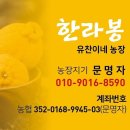 구라농장 이미지