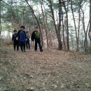 치악산송어횟집 이미지