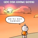 헤븐스터디