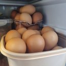 고기2통 이미지