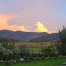 해담은집공인중개사사무소 이미지