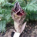 경주동궁원 이미지