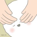 유성준동물병원 | 포도막염) 강아지 눈이 뿌옇게 보여요? 동물병원으로 달려가세요. 부산 유성준동물병원/제일2차동물병원