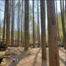 장태산 힐링타임 이미지