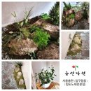 금선에너지 이미지