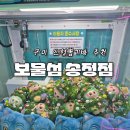 보물섬뽑기 이미지