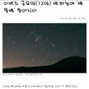 김명자 낙지마당 - 화성시 | 김명자 낙지마당