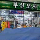 부신모사 이미지