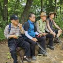 우면산둘레길 (35 매화산악회 정기산행 - 2023. 6. 6) 이미지