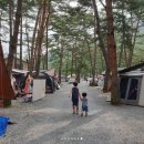 솔밭캠프장 이미지