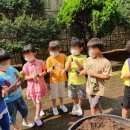 오태초등학교 병설유치원 이미지
