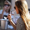 블루버드 이미지