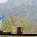 숲 휴게소 이미지