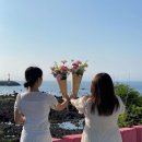 소피토제주