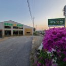 대관령옛길펜션 이미지