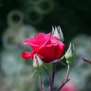 하얀구름 이미지