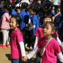 세곡초교 이미지