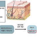 안티에이징의원 이미지