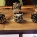 부엉이산장부천역점 이미지