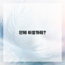 댕댕이애견 이미지