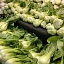 대화농협 APC 이미지