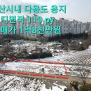 서산시 동문동 362㎡ (110py) 주택지 다용도 투자용지 서산부동산 서산시부동산 서산토지 서산땅 서산전원주택지 서산주택지 부동산매물 이미지