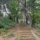 화랑초건너편 이미지