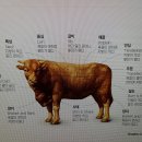 소한마리 이미지