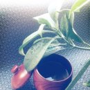 민가한의원 이미지