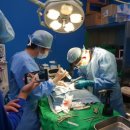 24시 아프리카동물병원 이미지