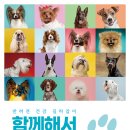 강남25동물병원 이미지