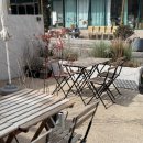 팟타이키친 | 잠실 팟타이 맛집, 골든타이키친 후기 가져왔어요.